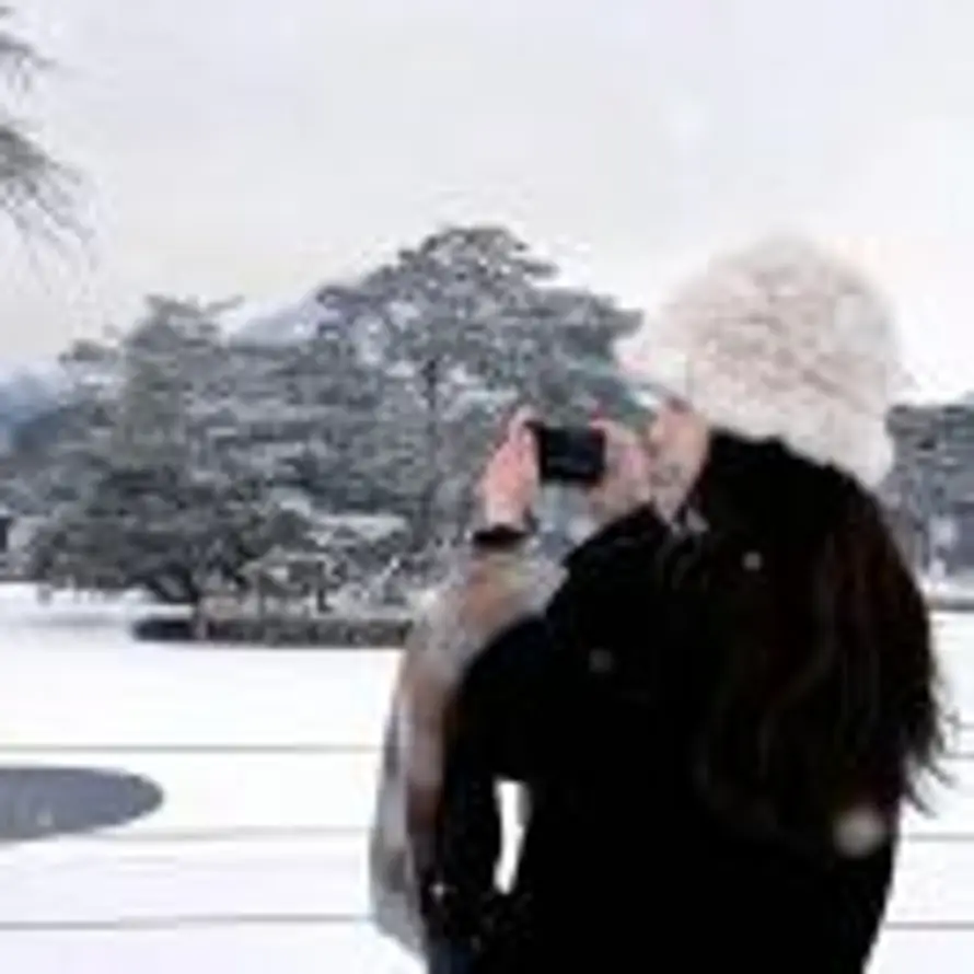 怡宝大王的头像