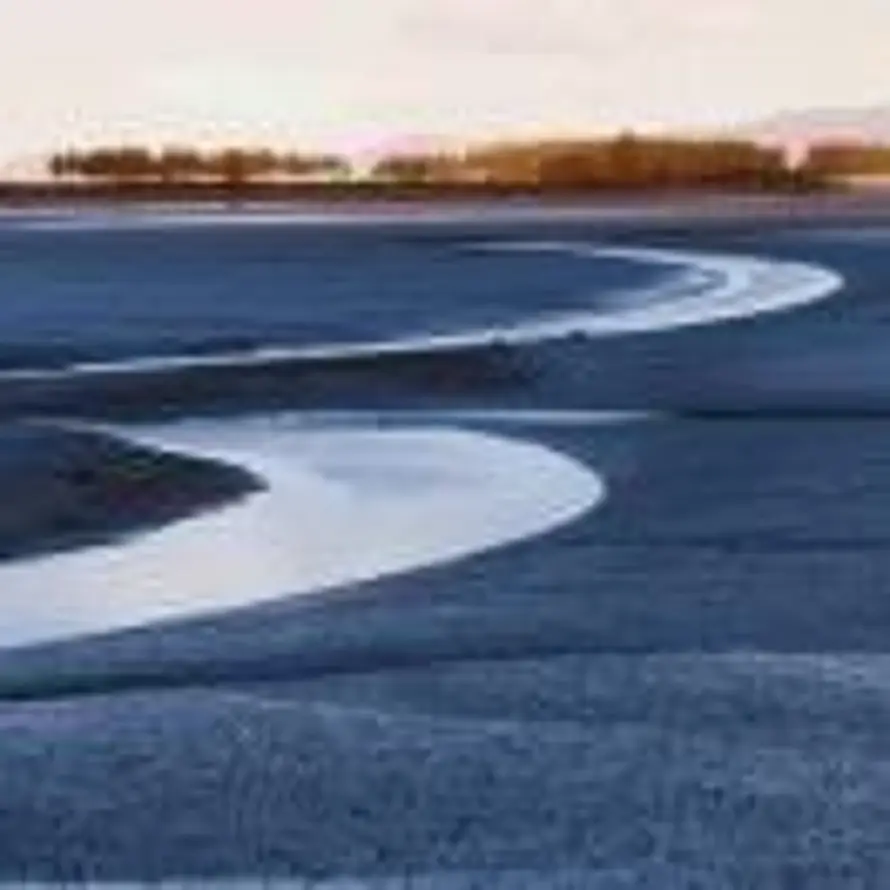 疲蛋瘦肉周的头像