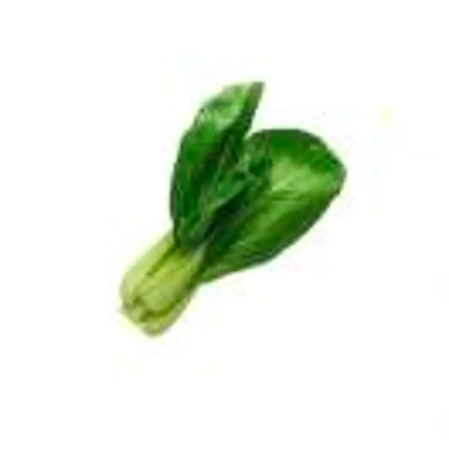 AAA煮青菜我要配翠宏的头像