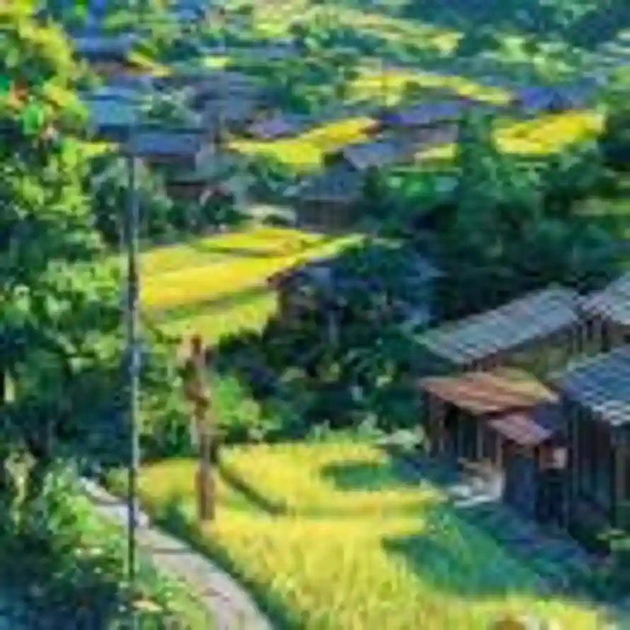 天天向上的头像