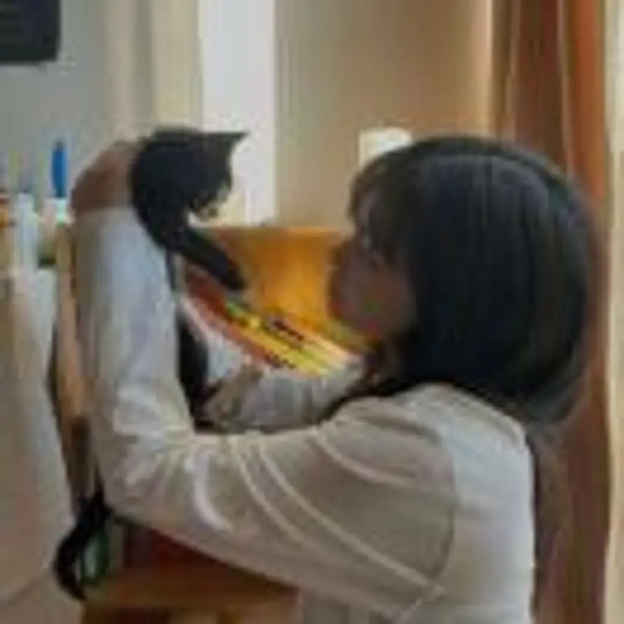 只吃猫饭的头像