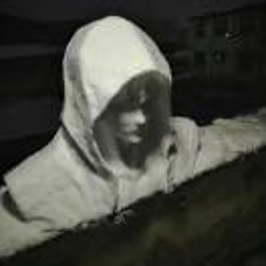 绝对零度的头像