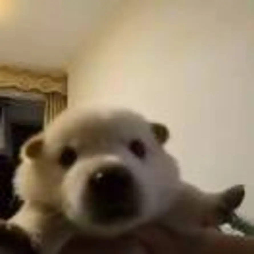 肿么肥斯的头像