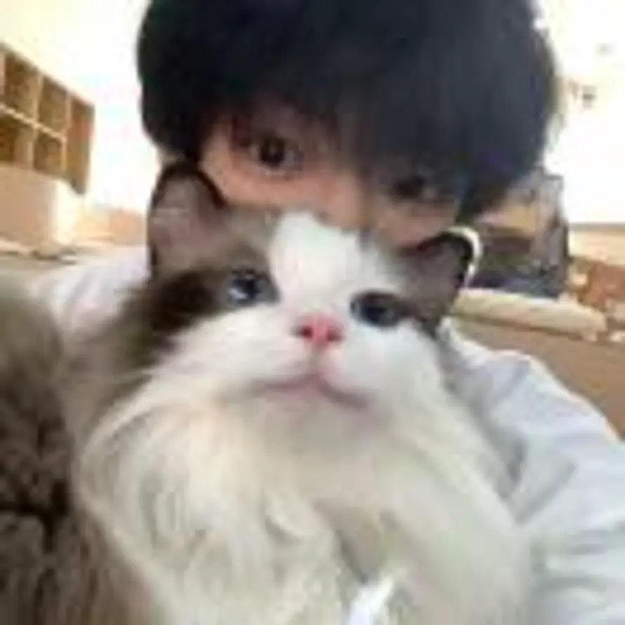 睡的犯困了的头像