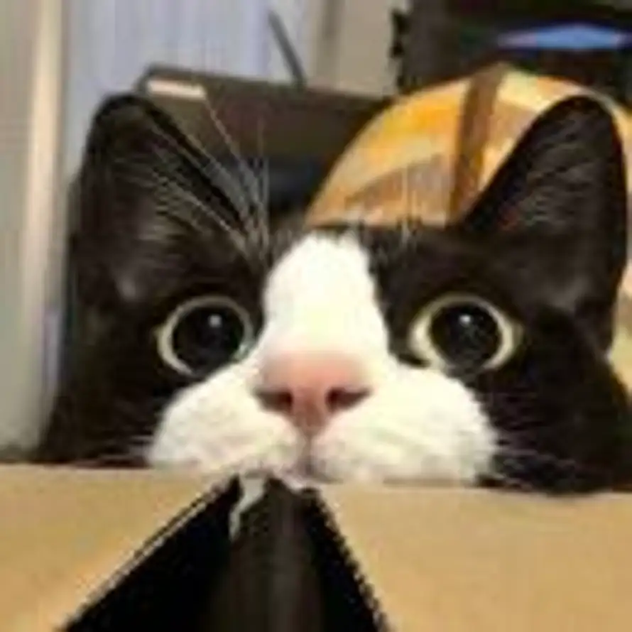 十里的用户头像 - 哲风壁纸