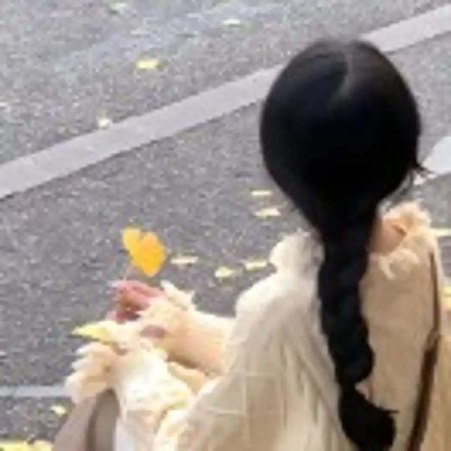 心随风起的头像