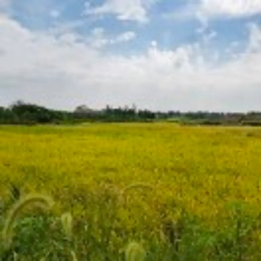 小中年🇨🇳的头像