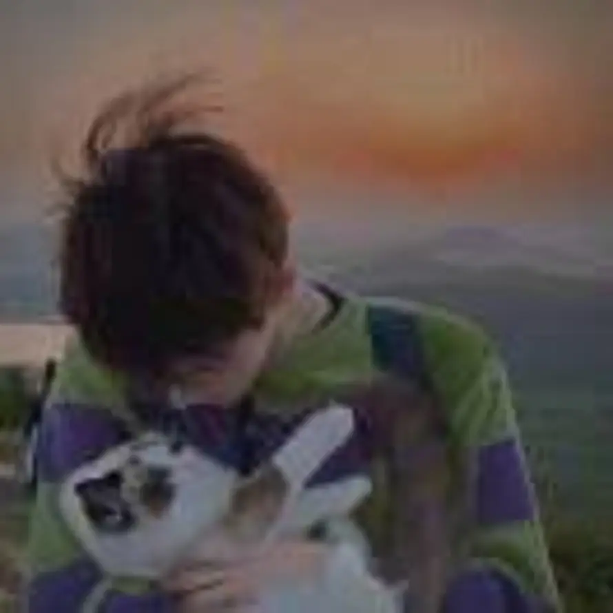 🌟不及你🌟的头像