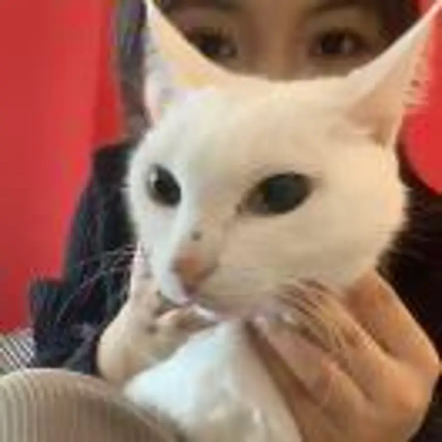 好懒的狐狸的头像