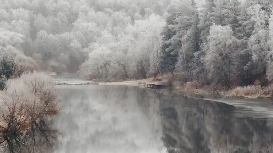 4k树林壁纸 - 风景 - 雾凇 - 河流「哲风壁纸」