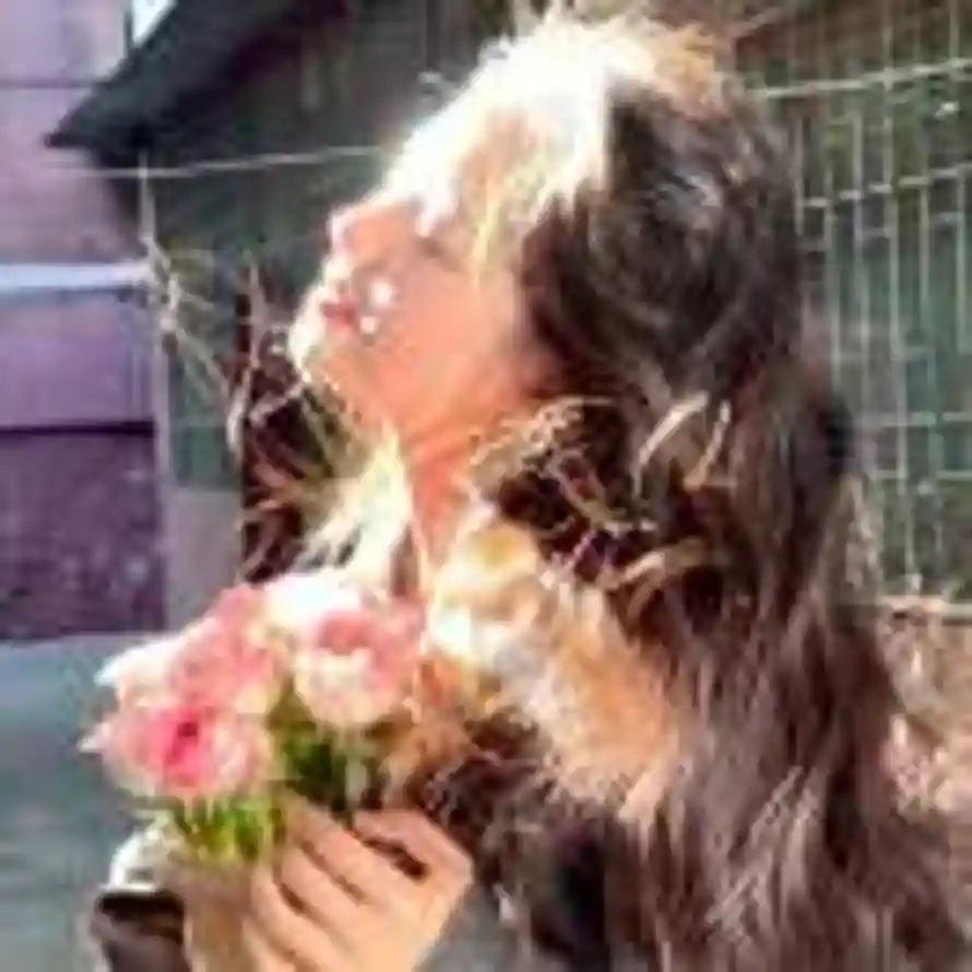 平安喜樂的头像