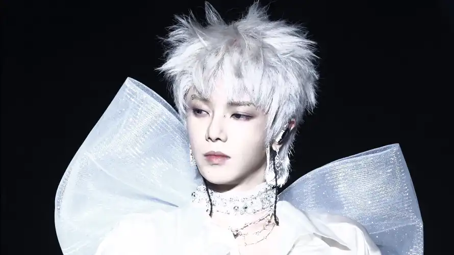 4k白发壁纸-华晨宇 - 耳饰-大蝴蝶结热门的壁纸「哲风壁纸」