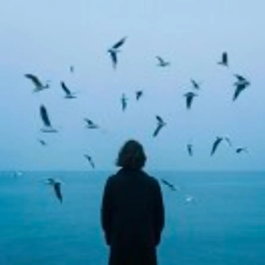 心无爱则无忧的头像