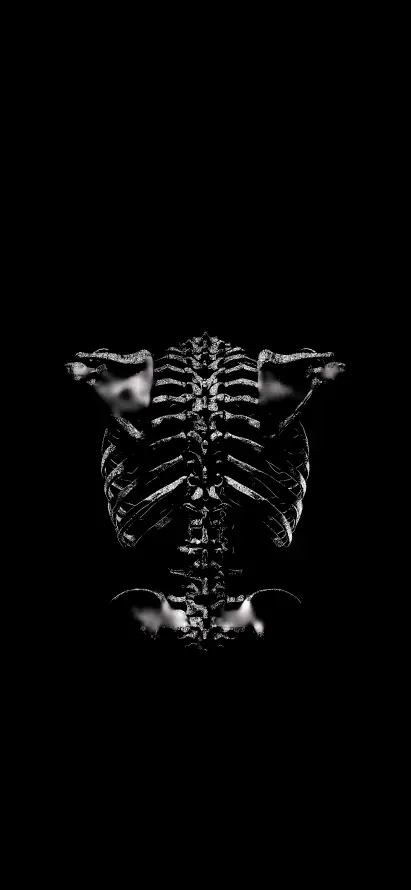 4k暗黑壁纸 - 极简 - 简约 - 骨架「哲风壁纸」