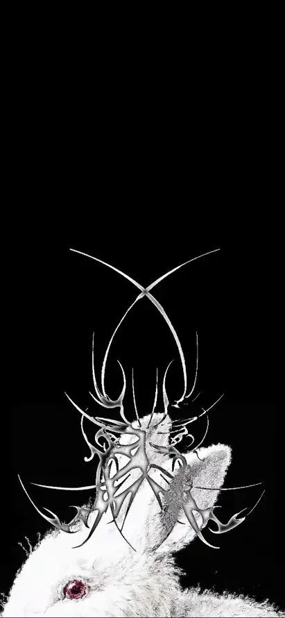 4k兔子壁纸 - 黑白 - 简约设计 - 红眼兔子「哲风壁纸」