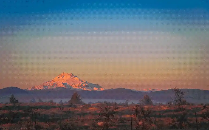 4k户处壁纸 - 户外 - 日落 - 植被「哲风壁纸」