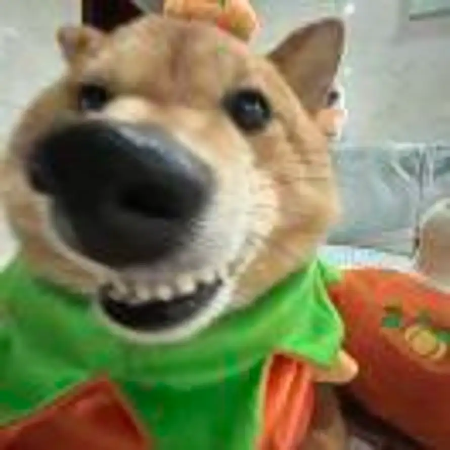 我先走一步的头像