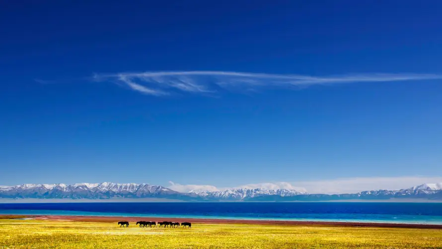 4k新疆壁纸 - 湖泊 - 草原 - 蓝天「哲风壁纸」 4k新疆壁纸 - 湖泊 - 草原 - 蓝天「哲风壁纸」