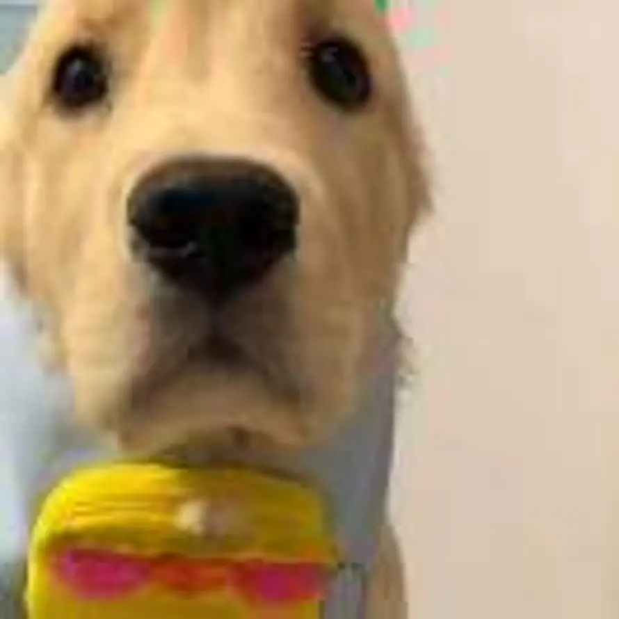 天谕.Mind的头像