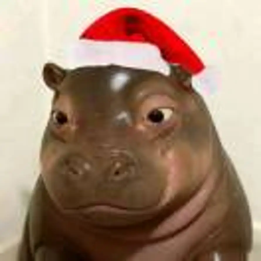 v的用户头像 - 哲风壁纸