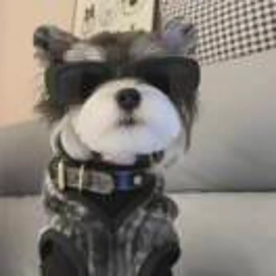 Aㅤㅤ胡浩天的头像