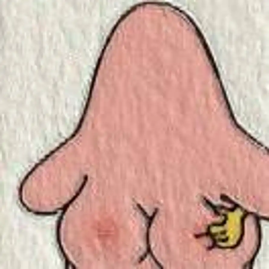 1996一2022的头像