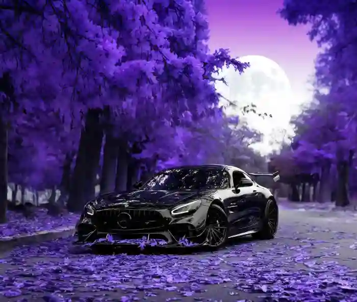 momo的用户头像 - 哲风壁纸