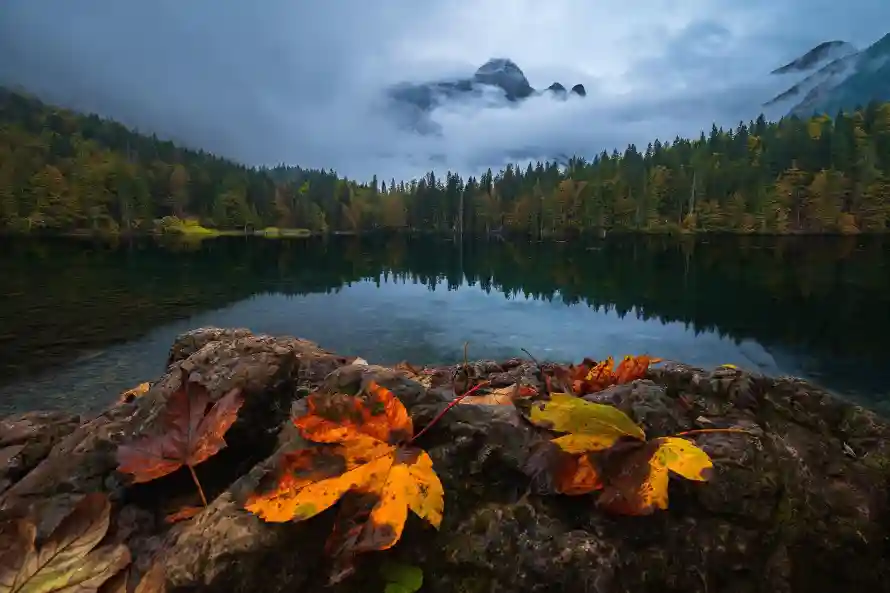 4k云雾壁纸 - 山脉 - 岩石 - 枫叶「哲风壁纸」 4k云雾壁纸 - 山脉 - 岩石 - 枫叶「哲风壁纸」