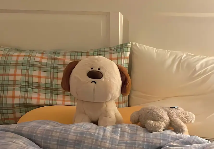 4k枕头壁纸 - 可爱 - 床铺 - 毛绒玩具「哲风壁纸」