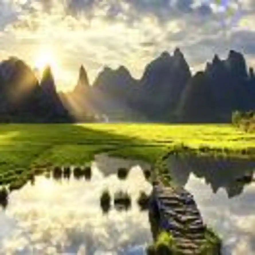 阳光灿烂的头像