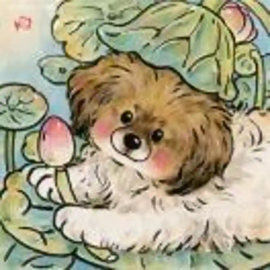 一颗松塔的头像