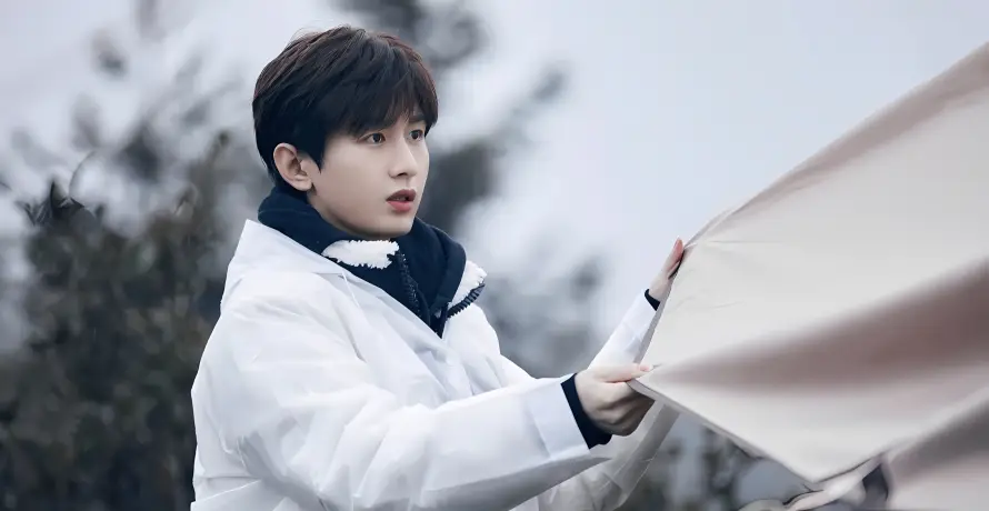 4k冬日壁纸 - 成毅 - 户外 - 树木「哲风壁纸」 4k冬日壁纸 - 成毅 - 户外 - 树木「哲风壁纸」