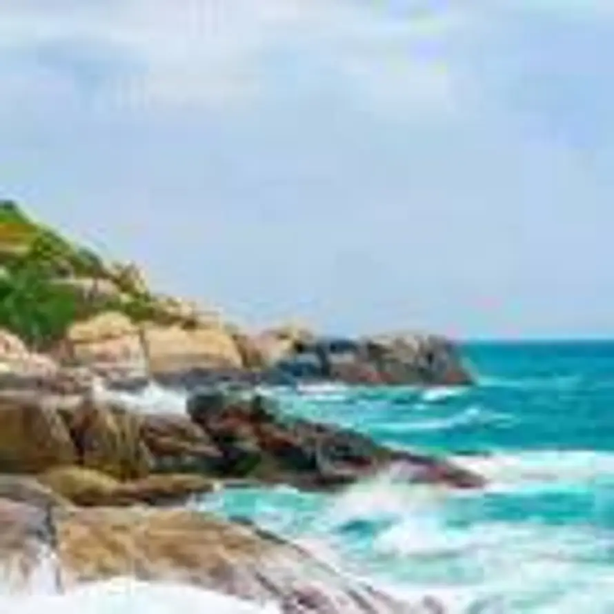 人生就是选择的头像