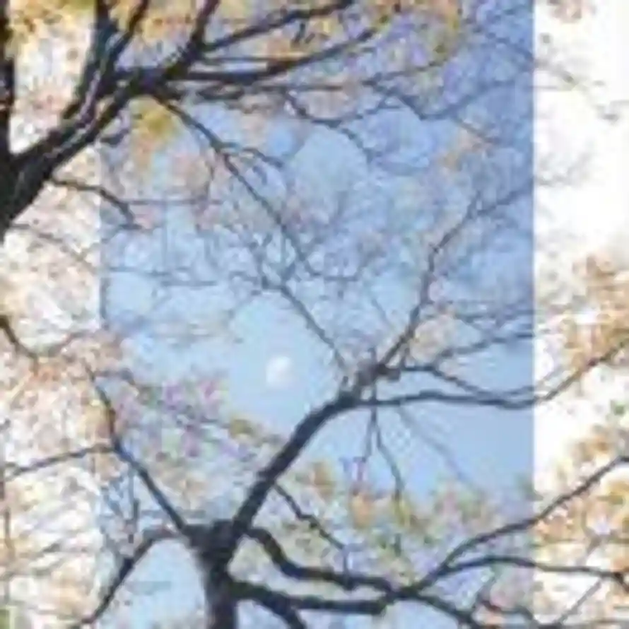 sleep guide😴的头像