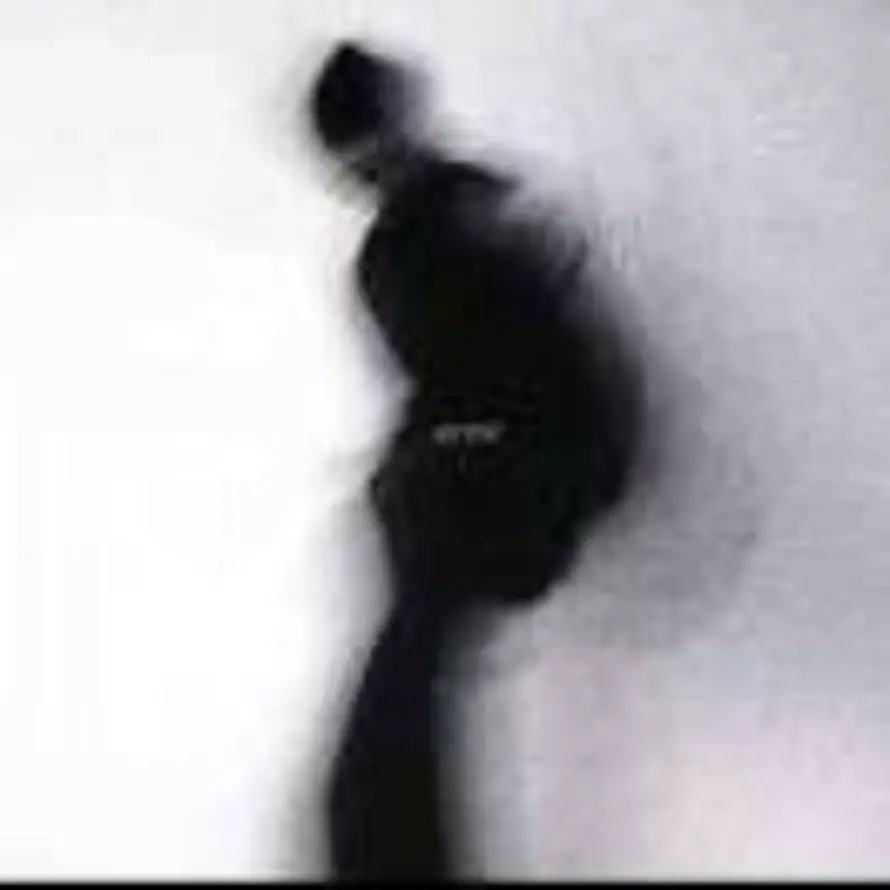 ㅤㅤㅤㅤㅤㅤㅤㅤ的头像