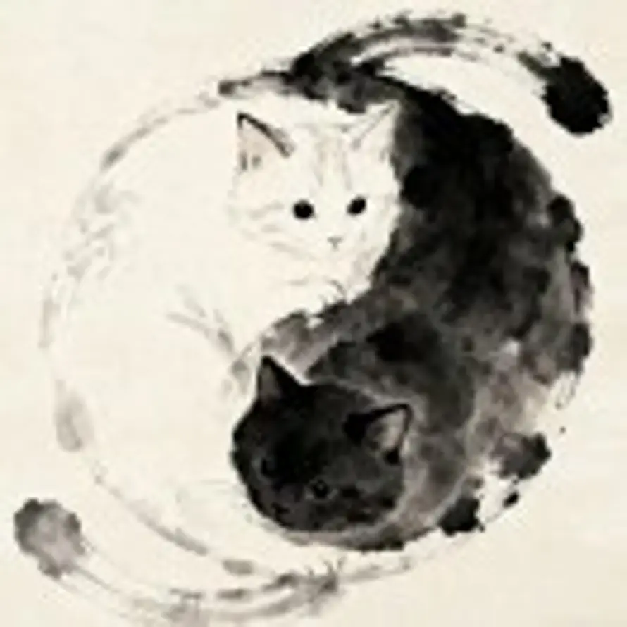 首阳山君的头像