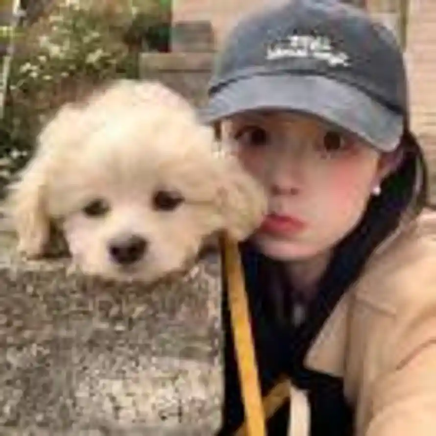 用户朱玉（工）的头像