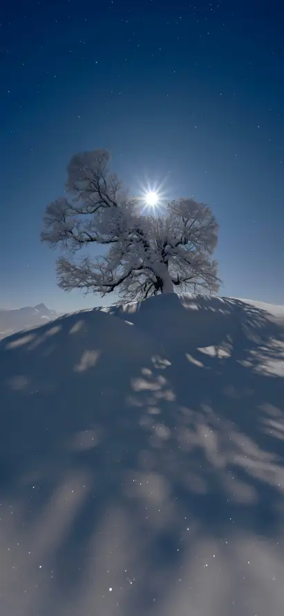 4k倒影壁纸 - 光影 - 冬日 - 冰雪「哲风壁纸」