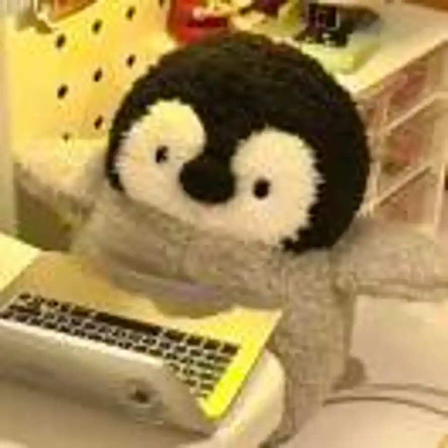 Penguin的头像
