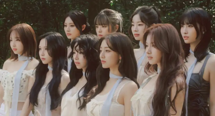 4k丛林壁纸 - 合影 - 女团 - 少女「哲风壁纸」