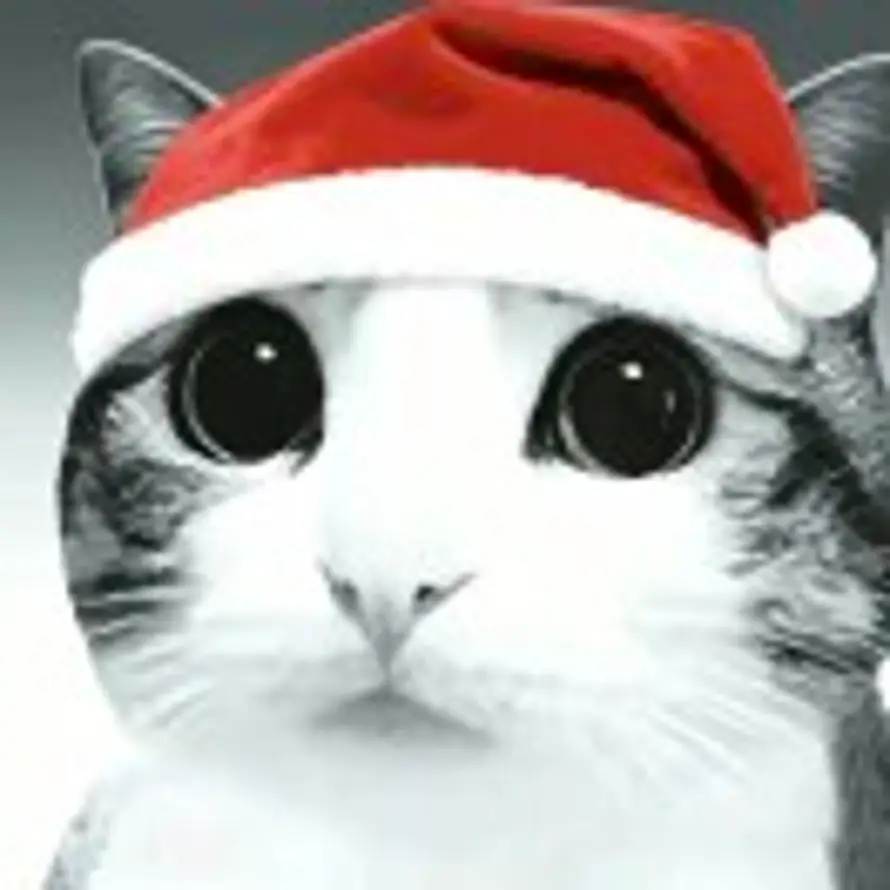 三好小猫的头像