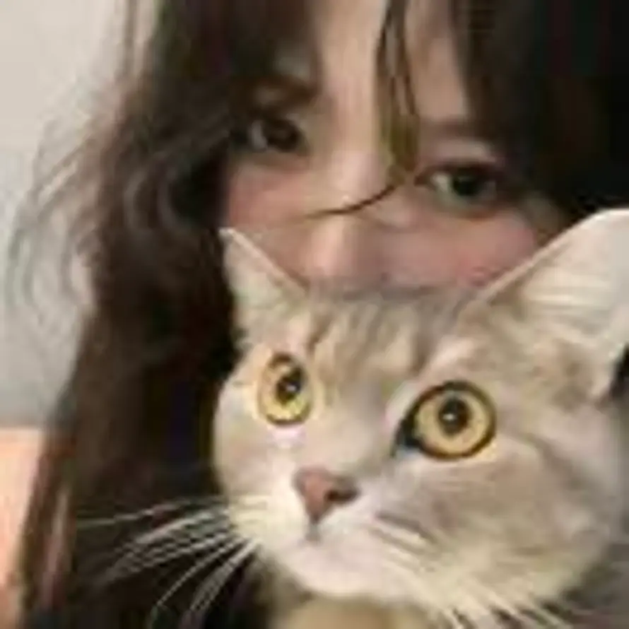 不要发信息给我的头像