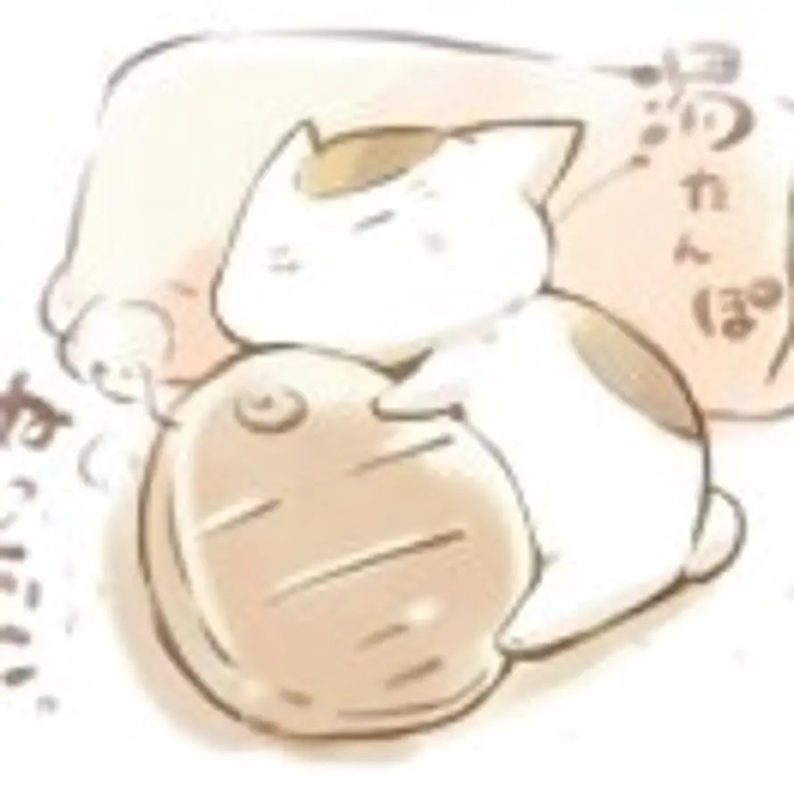 茉莉果园的头像