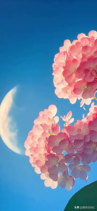 4k壁纸壁纸 - 夜空 - 手机 - 月亮「哲风壁纸」