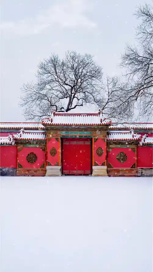 4k冬季壁纸 - 北京 - 树木 - 白雪「哲风壁纸」