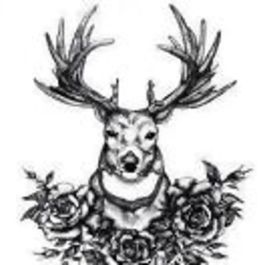 轻装前行。的头像