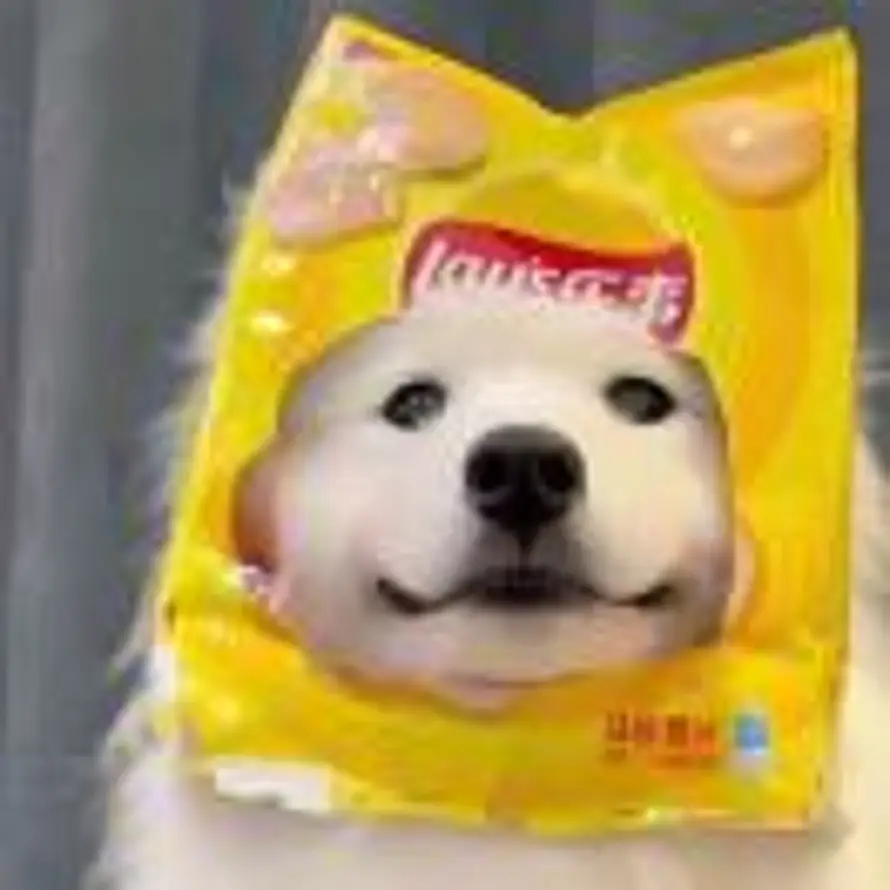 姚旺的头像