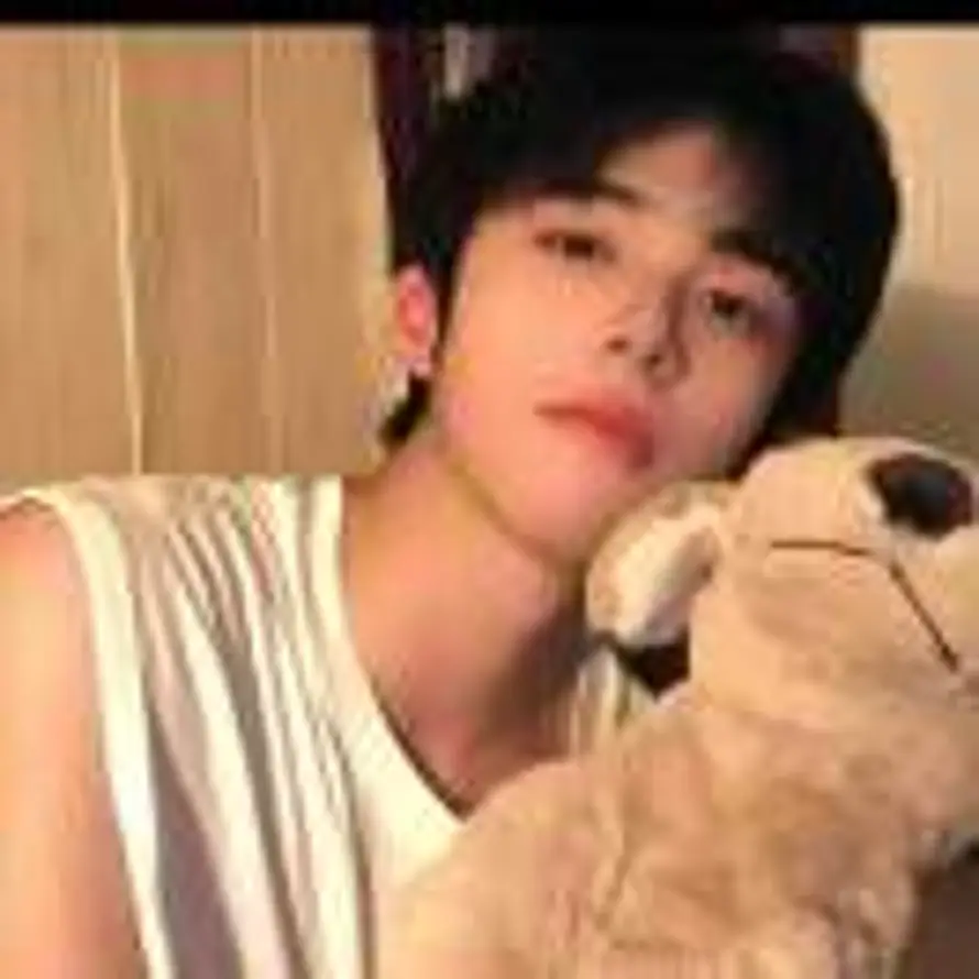 Serendipity的头像