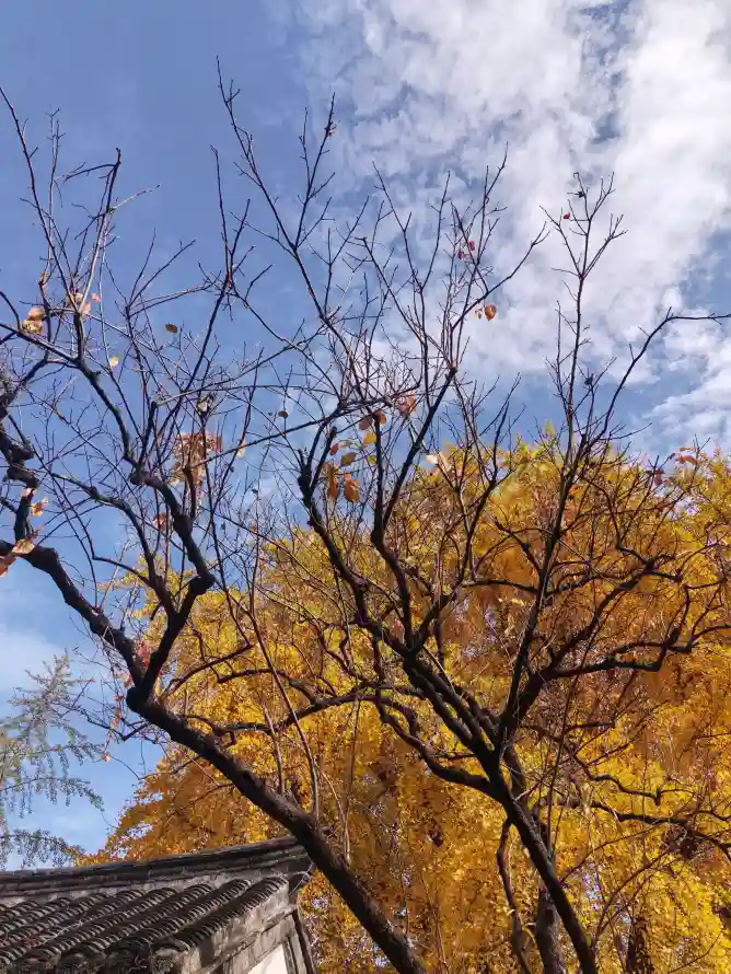 4k唯美壁纸 - 壁纸 - 夜晚 - 晴空「哲风壁纸」