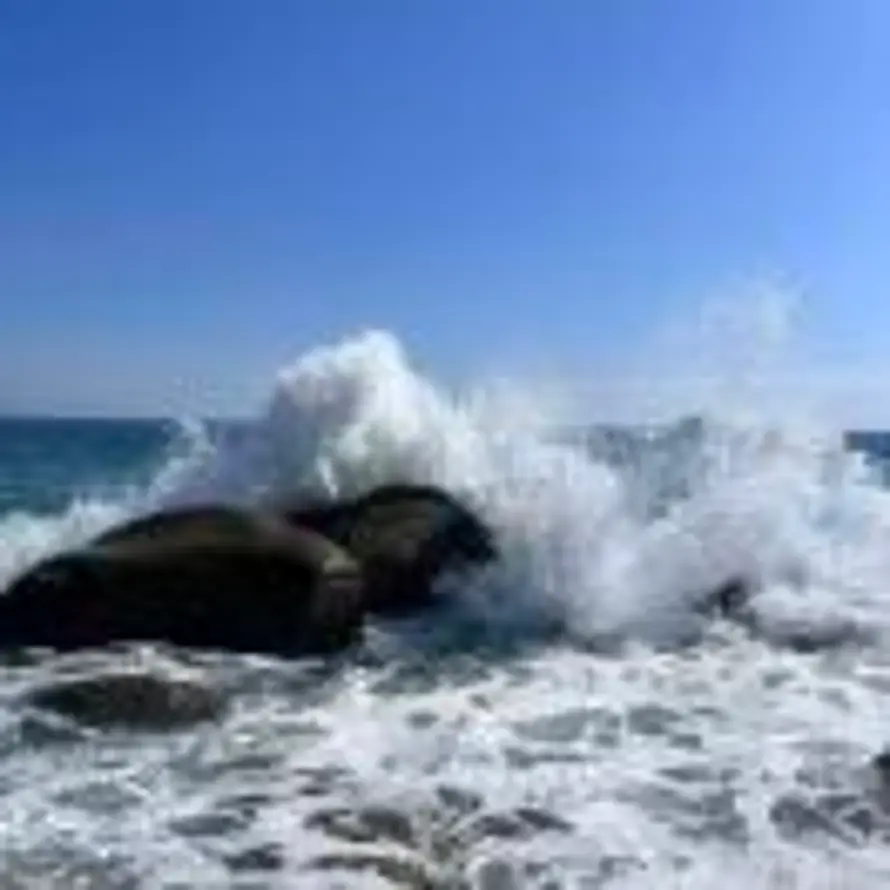 忠勇仁爱的头像